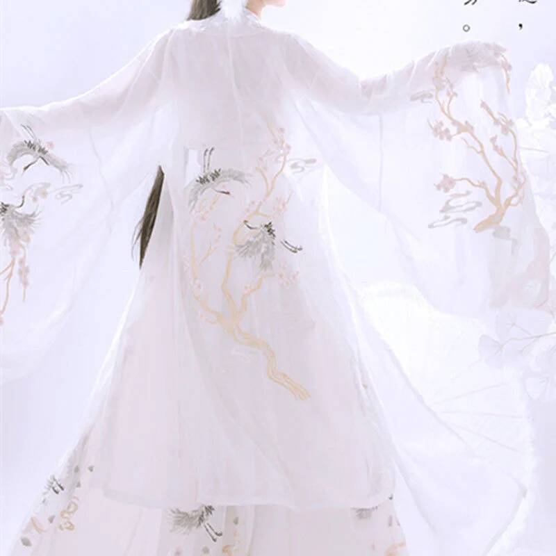 Chinese Ancient Hanfu Women's  - Embroidery Dress review and price